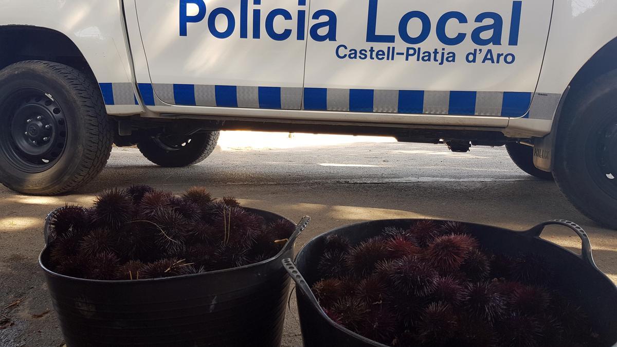 Les més de 500 garoines comissades als dos pescadors furtius, que les havien agafades a la zona de S'Agaró