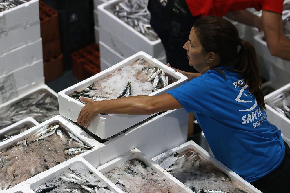 Así es un día de trabajo en la pescadería de Mercamálaga