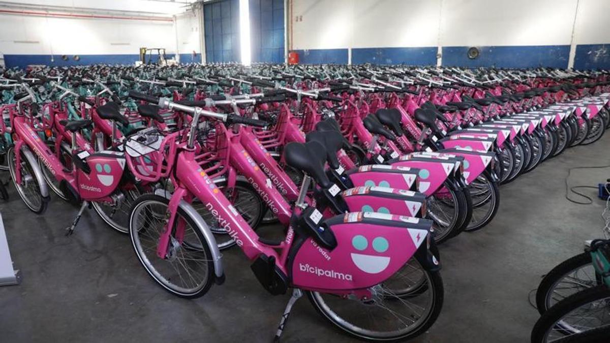 Las nuevas bicicletas a su llegada a Palma.