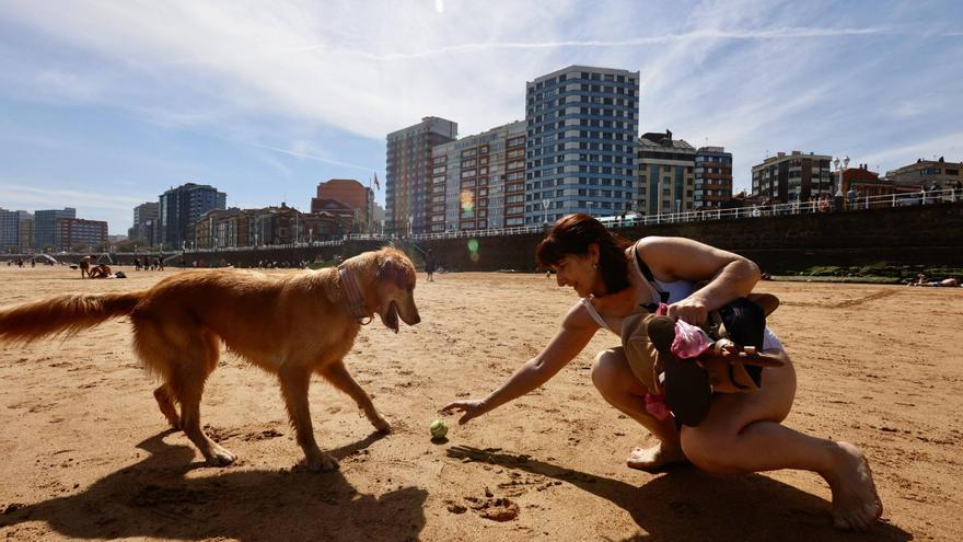 La playa de San Lorenzo se llena con el verano de abril: ¿cómo conviven los que van a tomar el sol con los perros que aún pueden entrar?