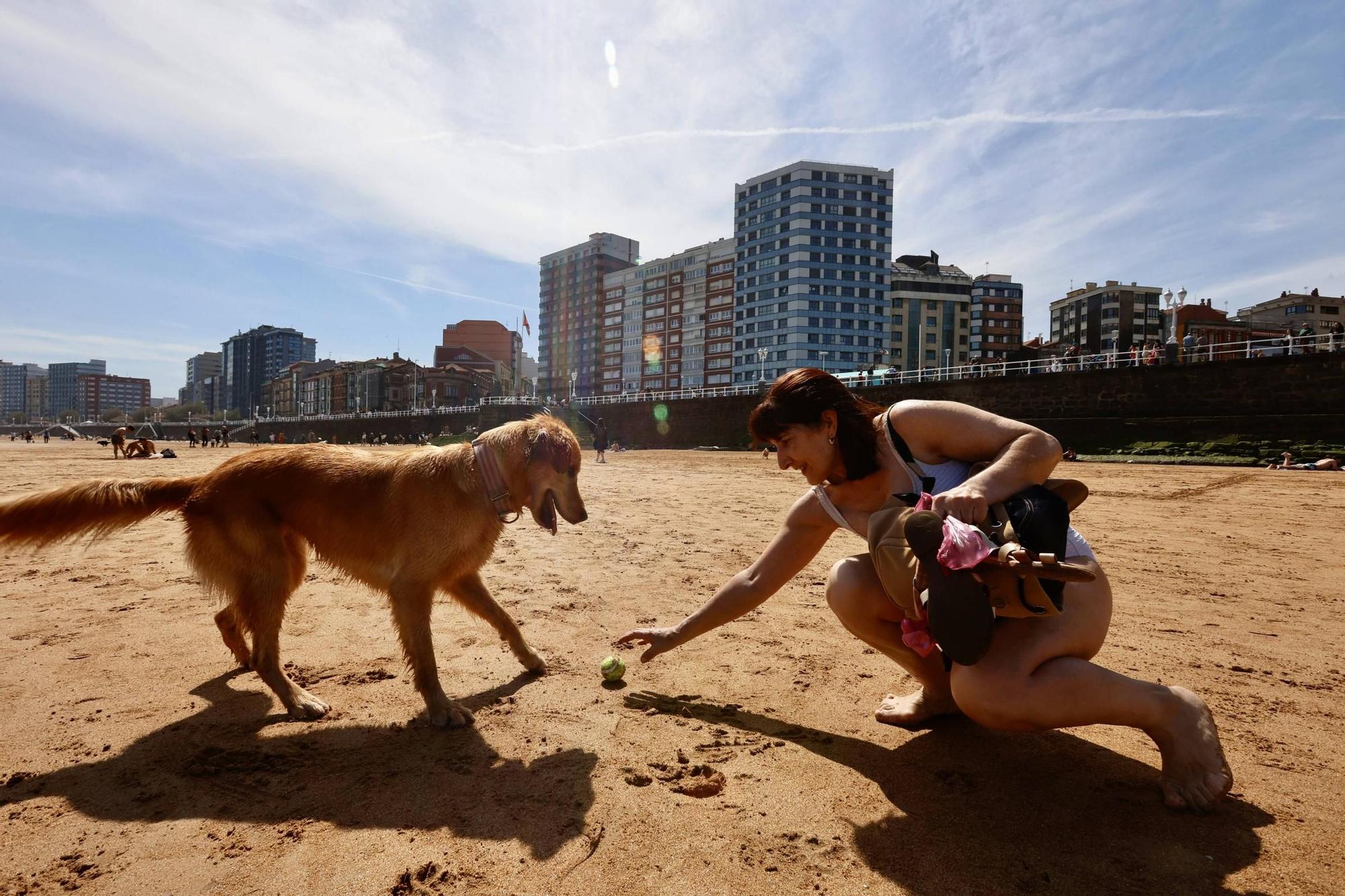 Ambiente playero en Gijón tras otra jornada de sol y calor (en imágenes)