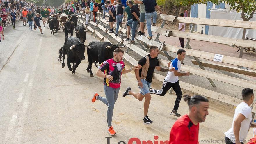 Primer encierro de la Feria Taurina del Arroz en Calasparra