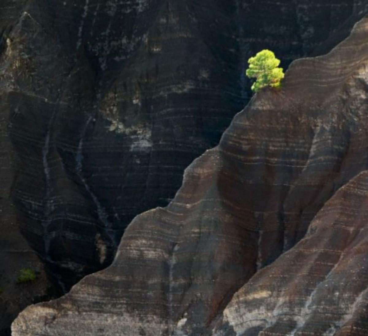 ‘El guardián del silencio’, de Luis C. Pascual.  | DPH