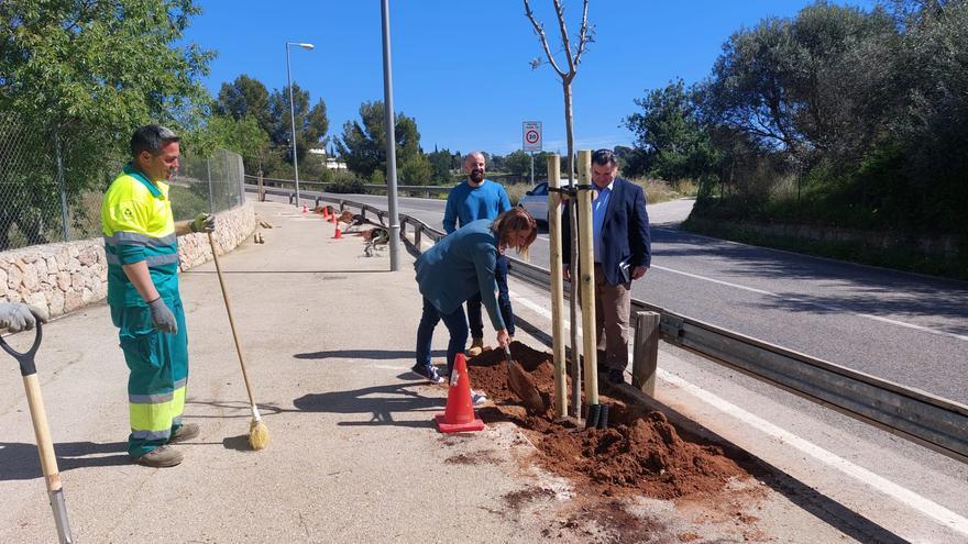 El Ayuntamiento de Palma planta 2.803 árboles entre septiembre y abril