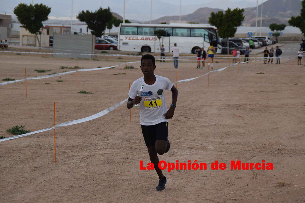 Campeonato Regional de relevos mixtos de atletismo