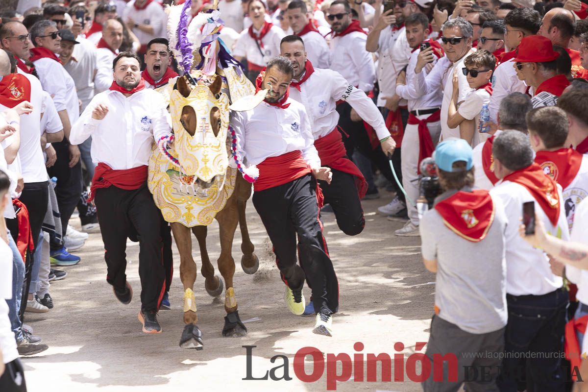 Así se ha vivido la carrera de Los Caballos del Vino en Caravaca