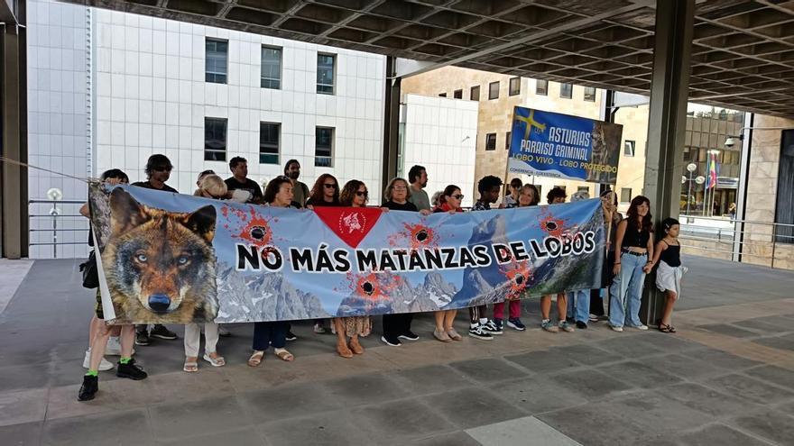 El Principado defiende, ante las críticas de ganaderos y conservacionistas, la "solidez técnica" del nuevo control del lobo en Asturias: se prevé eliminar 67 ejemplares hasta finales de 2027