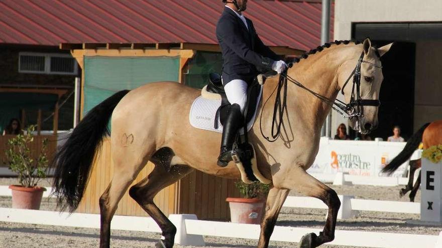 Equus Duri firma grandes actuaciones en todas las competiciones