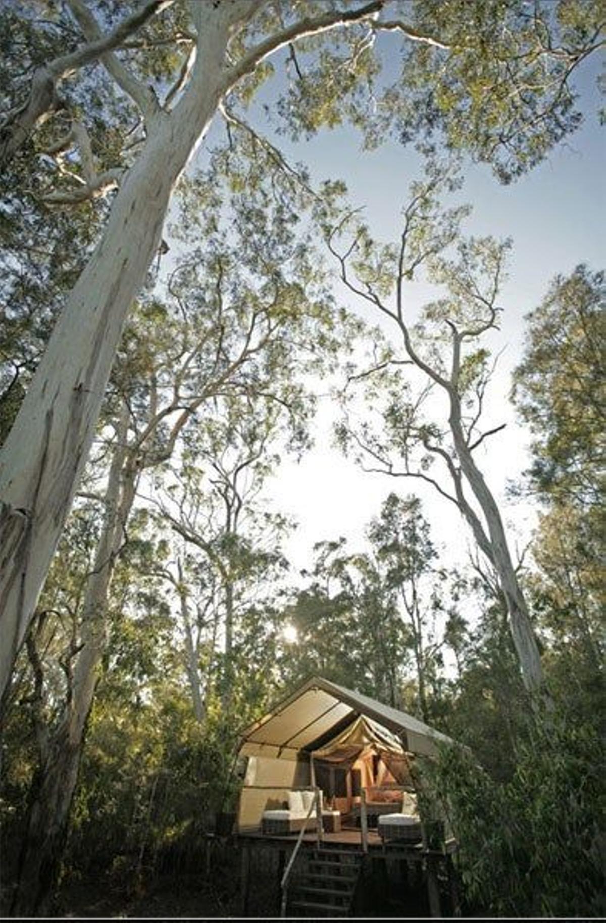 Paperbark Camp Australia1