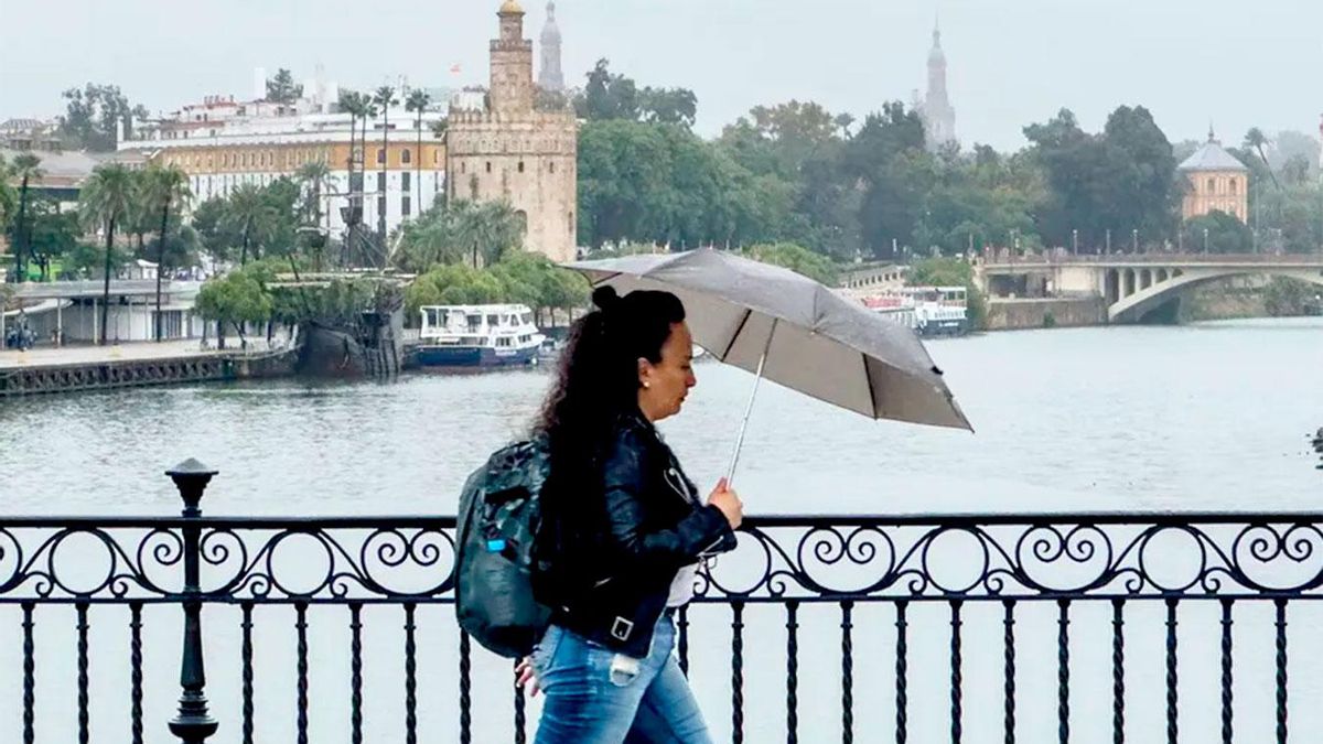 Los cielos nublados han llegado este martes a Sevilla capital.