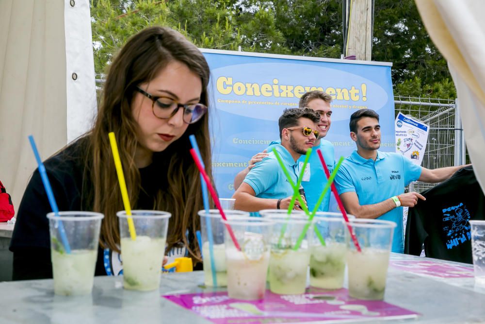 Galería de la Acampada de Benidorm