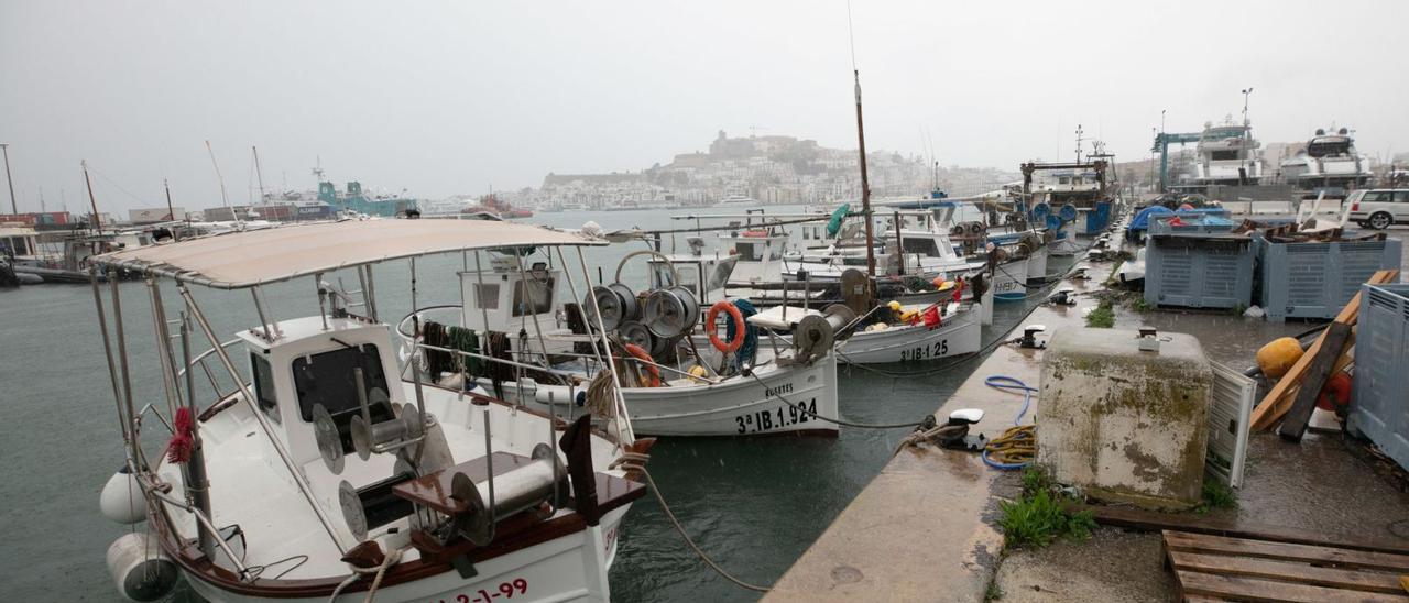 Barcas amarradas por el temporal, ayer en el puerto de Ibiza.