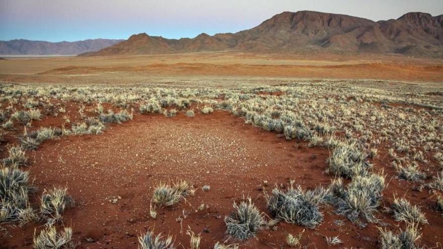 Descubierto el misterio de los &#039;círculos de la hadas&#039; de Namibia