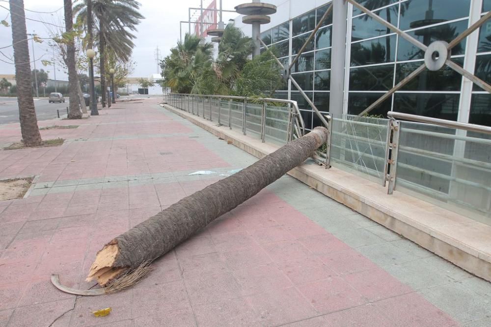 La borrasca Ana, a su paso por Cartagena