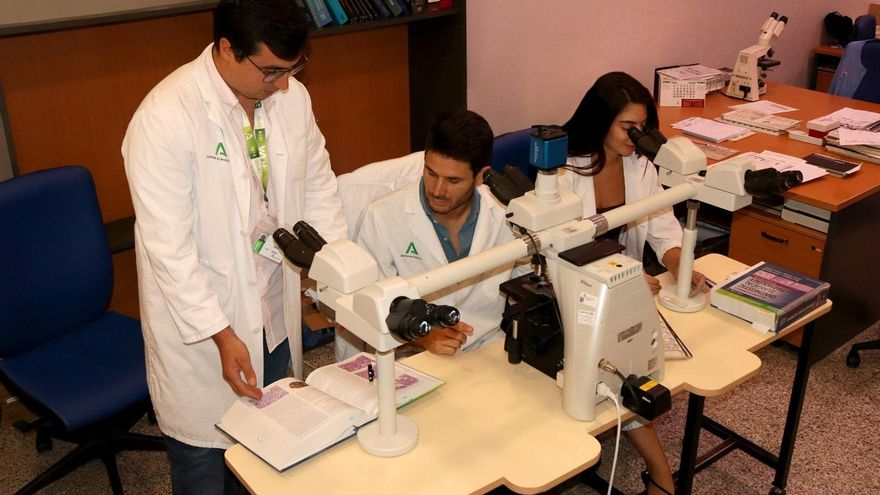 El Virgen Macarena recibe un premio nacional por su investigación en tumores que disparan el calcio en la sangre