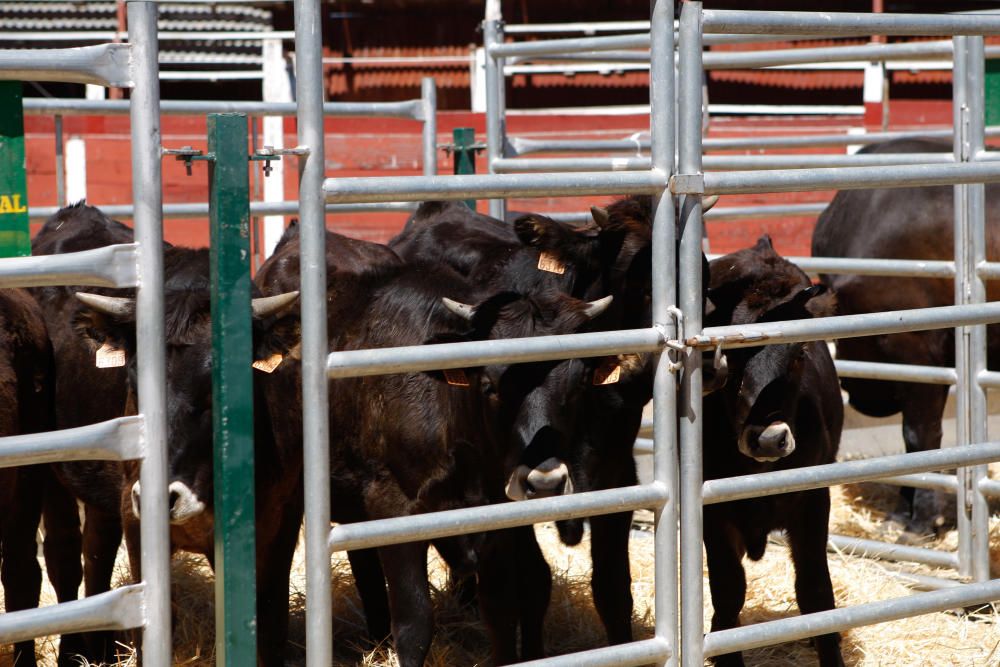 Feria agroalimentaria de Fermoselle