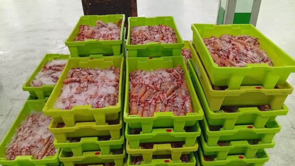 Marisco sin documentación 'cazado' por la Guardia Civil.