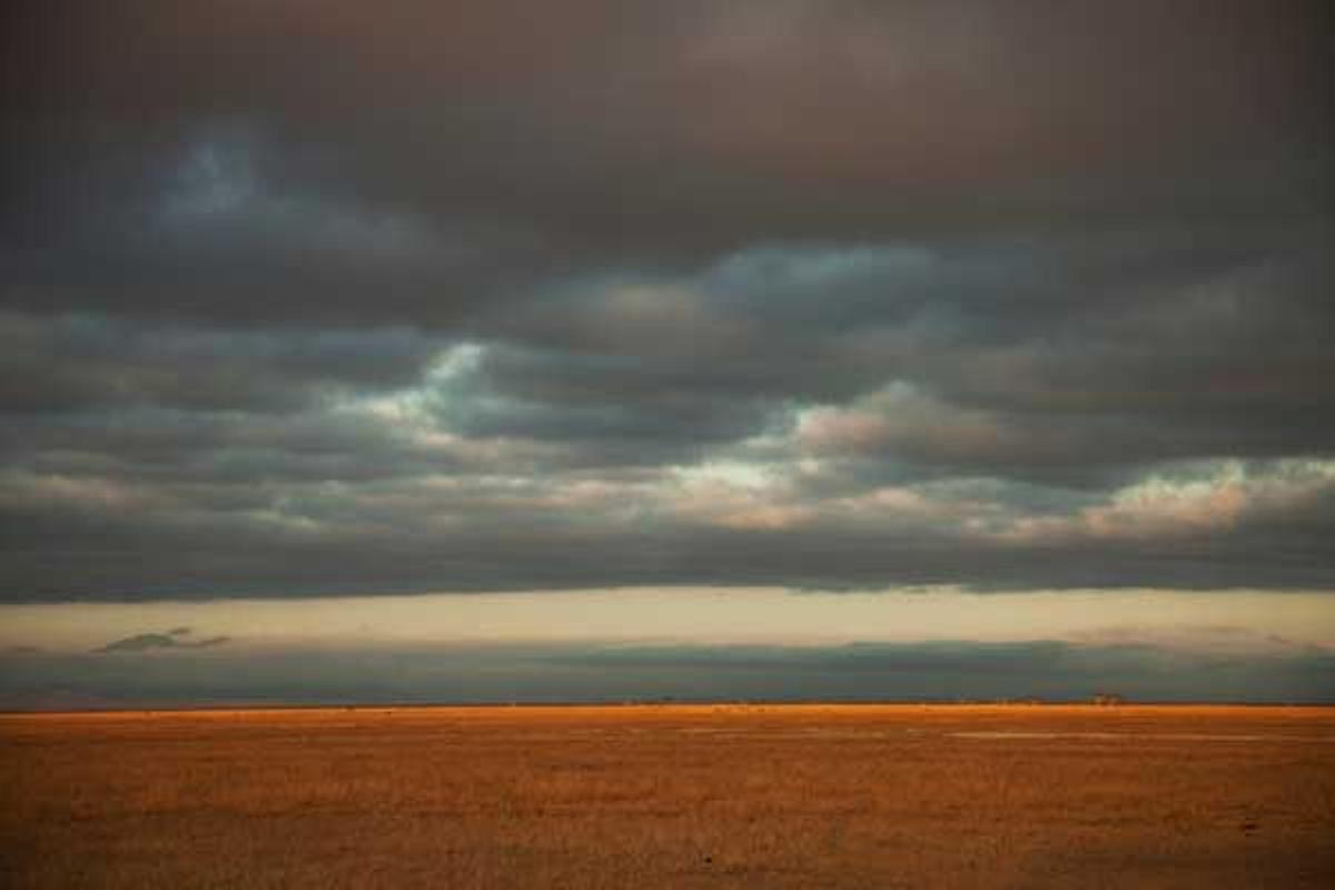 Llanuras en el Parque Nacional de Amboseli, en Kenia.