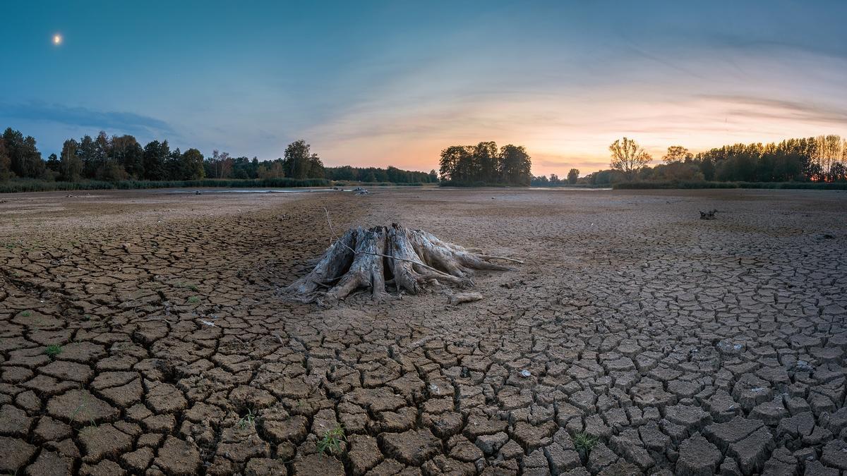 Efectos del cambio climático.
