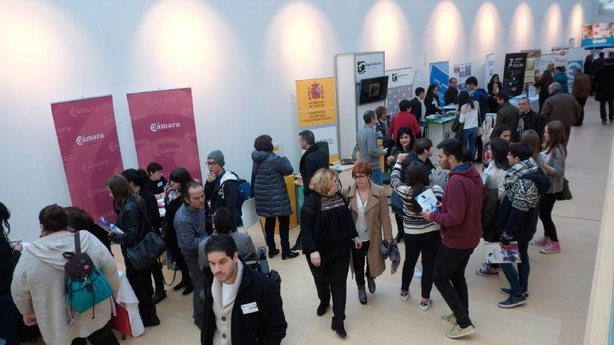 Más de 800 personas visitan la II Feria de Empleo