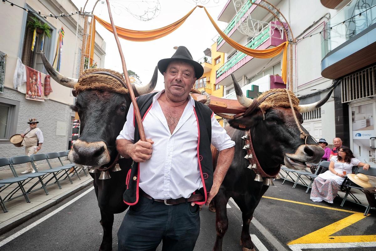 Romería de Los Realejos Romería de Los Realejos