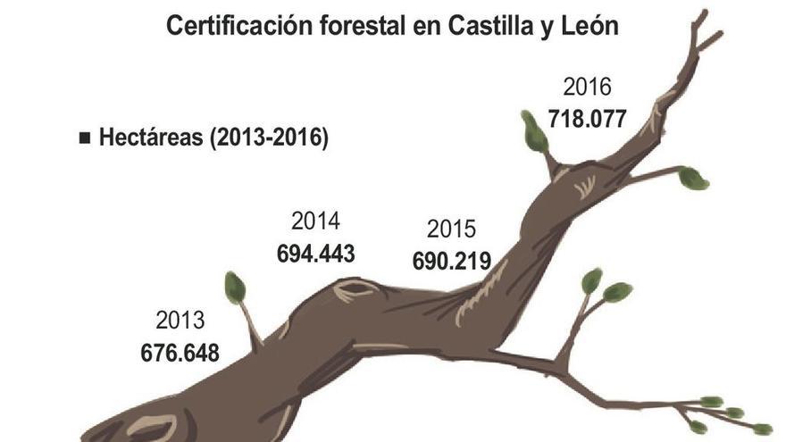 Distribución de la certificación forestal en Castilla y León.