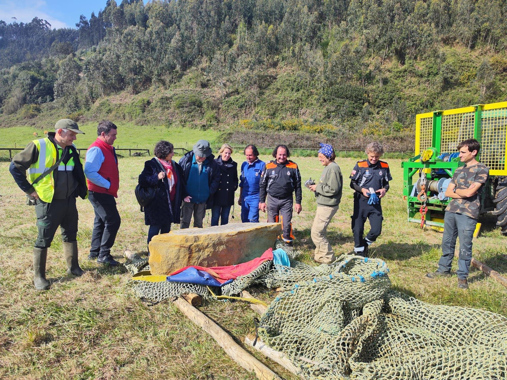 Extraordinario hallazgo en Villaviciosa: recuperan dos bloques con galerías de invertebrados del jurásico