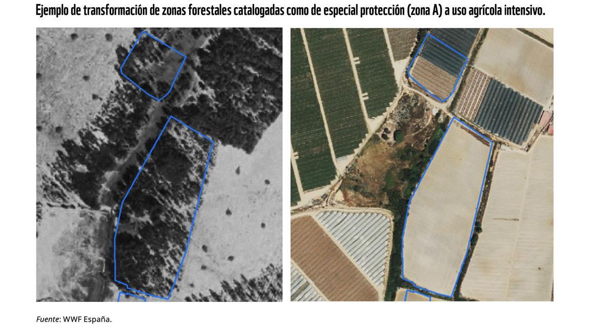 Ejemplo de transformación de zonas forestales de especial protección a uso agrícola intensivo.