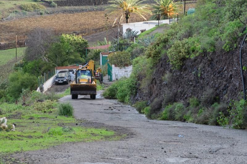 Rescatado de la granja de vacas a las tres de la mañana