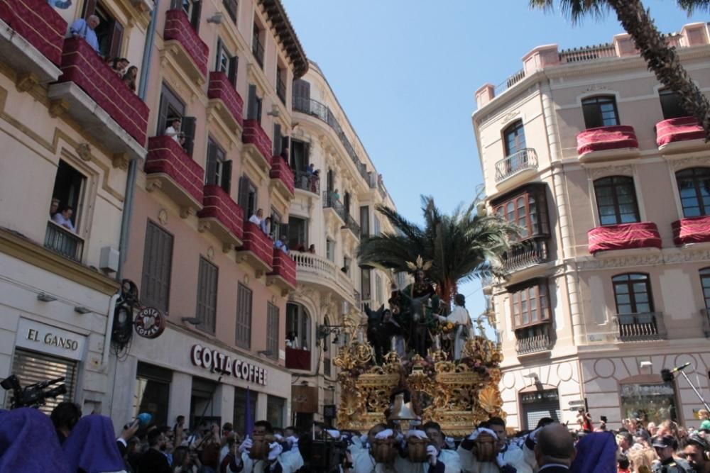 La cofradía de la Pollinica en la plaza de la Constitución.