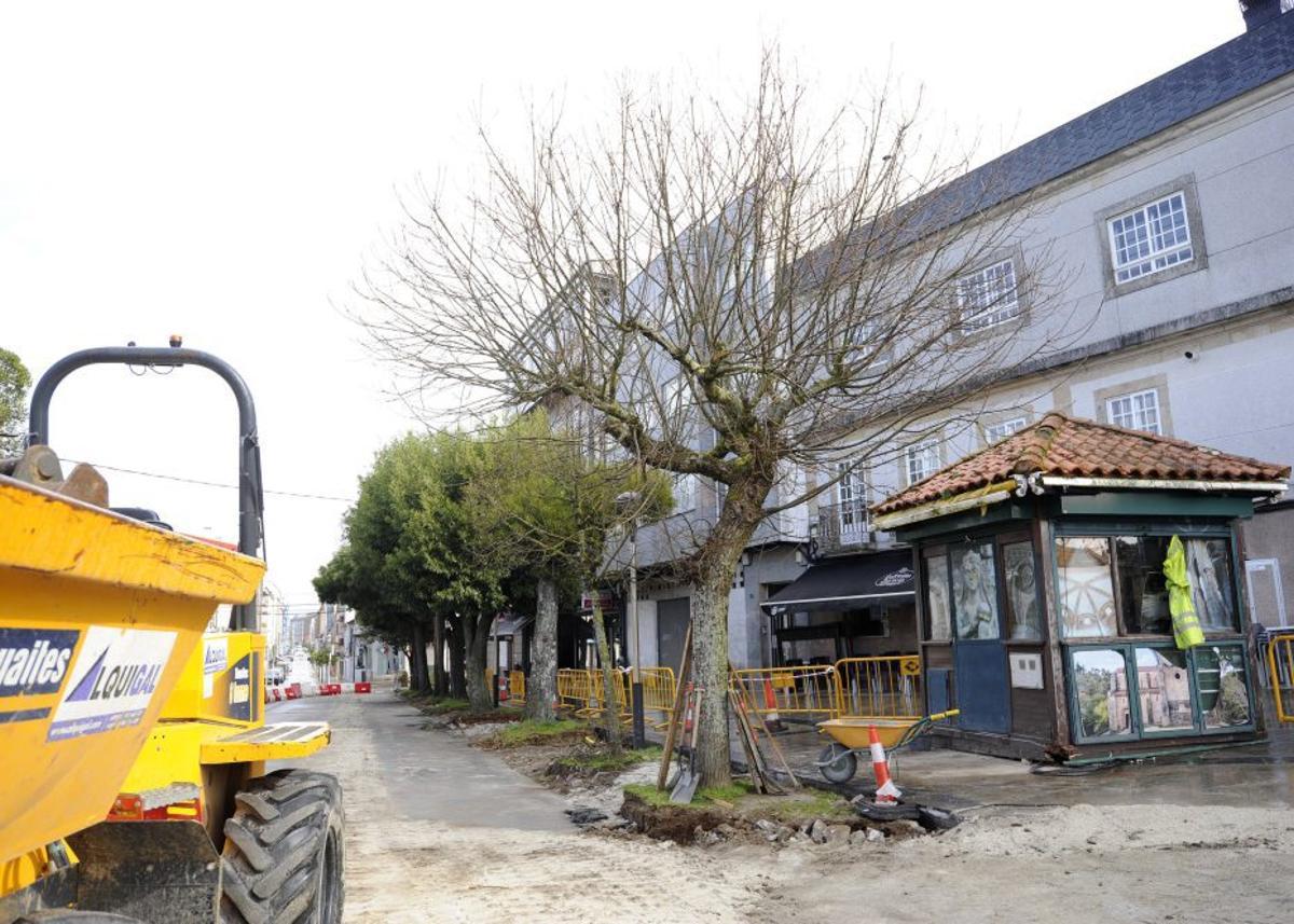 Obras en la Avenida do Parque, con el castaño en primer término. | BERNABÉ/JAVIER LALÍN