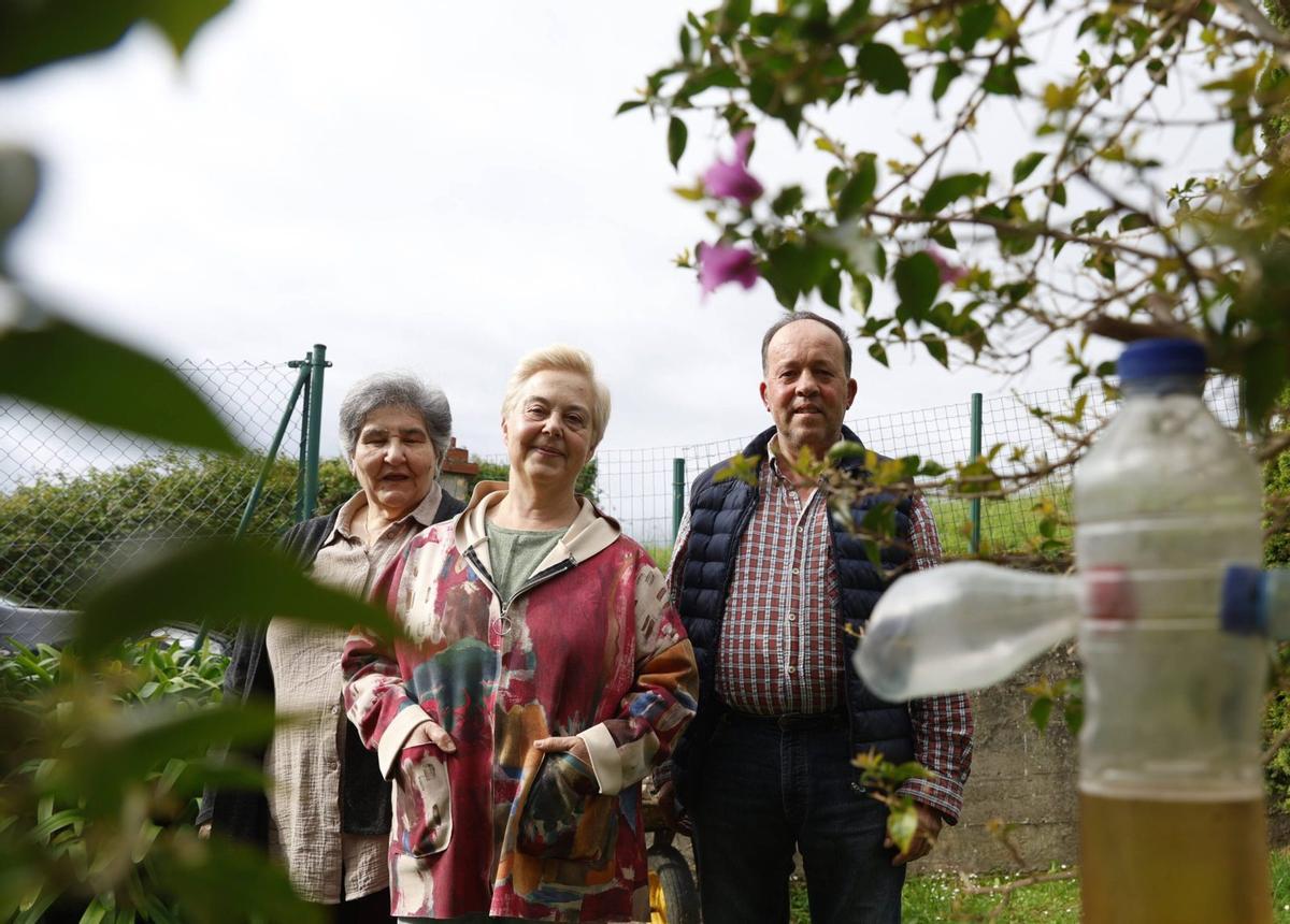 Por la izquierda, María José Fernández, Beatriz Vigón y Miguel Ángel Sánchez, ayer, con una trampa para velutinas en la asociación de  vecinos de Santurio.