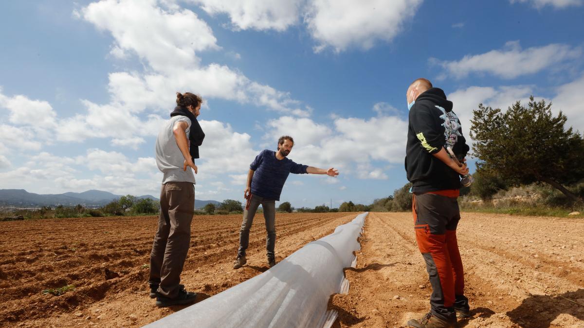 Borja Camí explica a Díaz y Sanmartí cómo deberían afrontar la siembra en una ‘feixa’ en la que ya hay plantadas patatas y berenjenas.