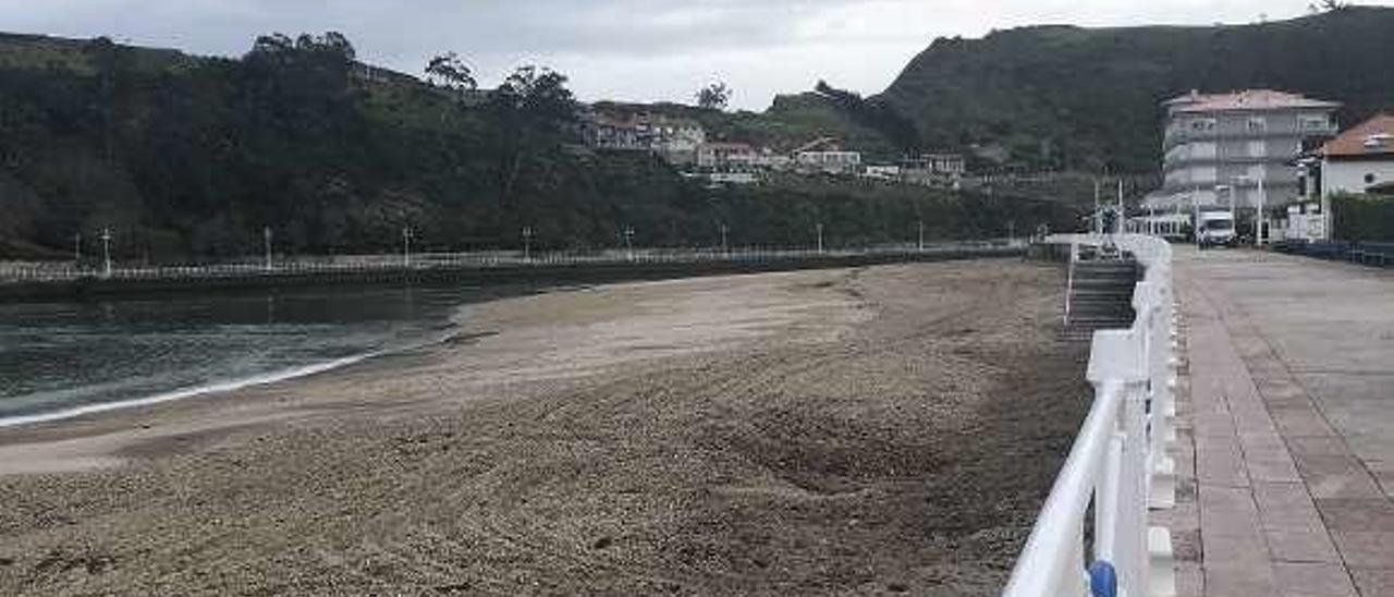 La limpieza de la playa de Ribadesella llega a tiempo para la Semana Santa