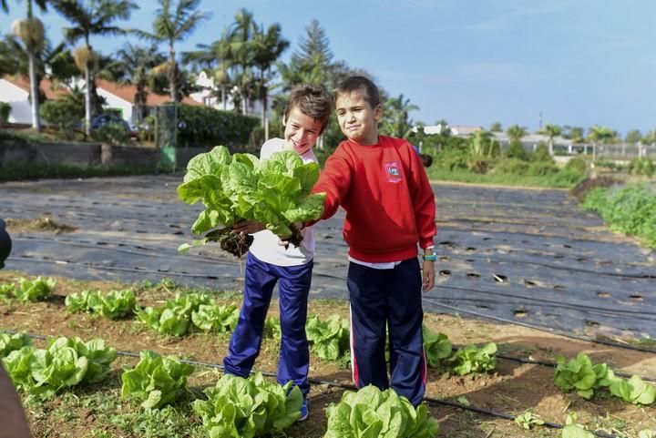 Visita escolar a la Granja Agricola del Cabildo