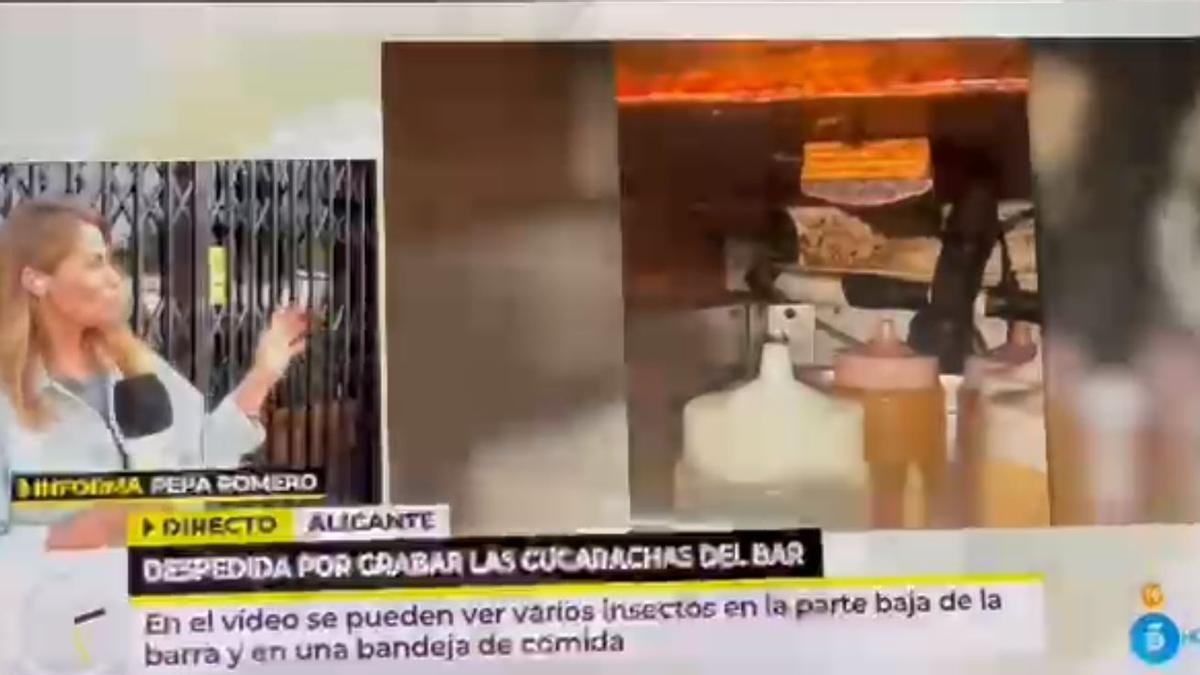 Telecinco ha abordado hoy la presencia de insectos en el Sento Albufera