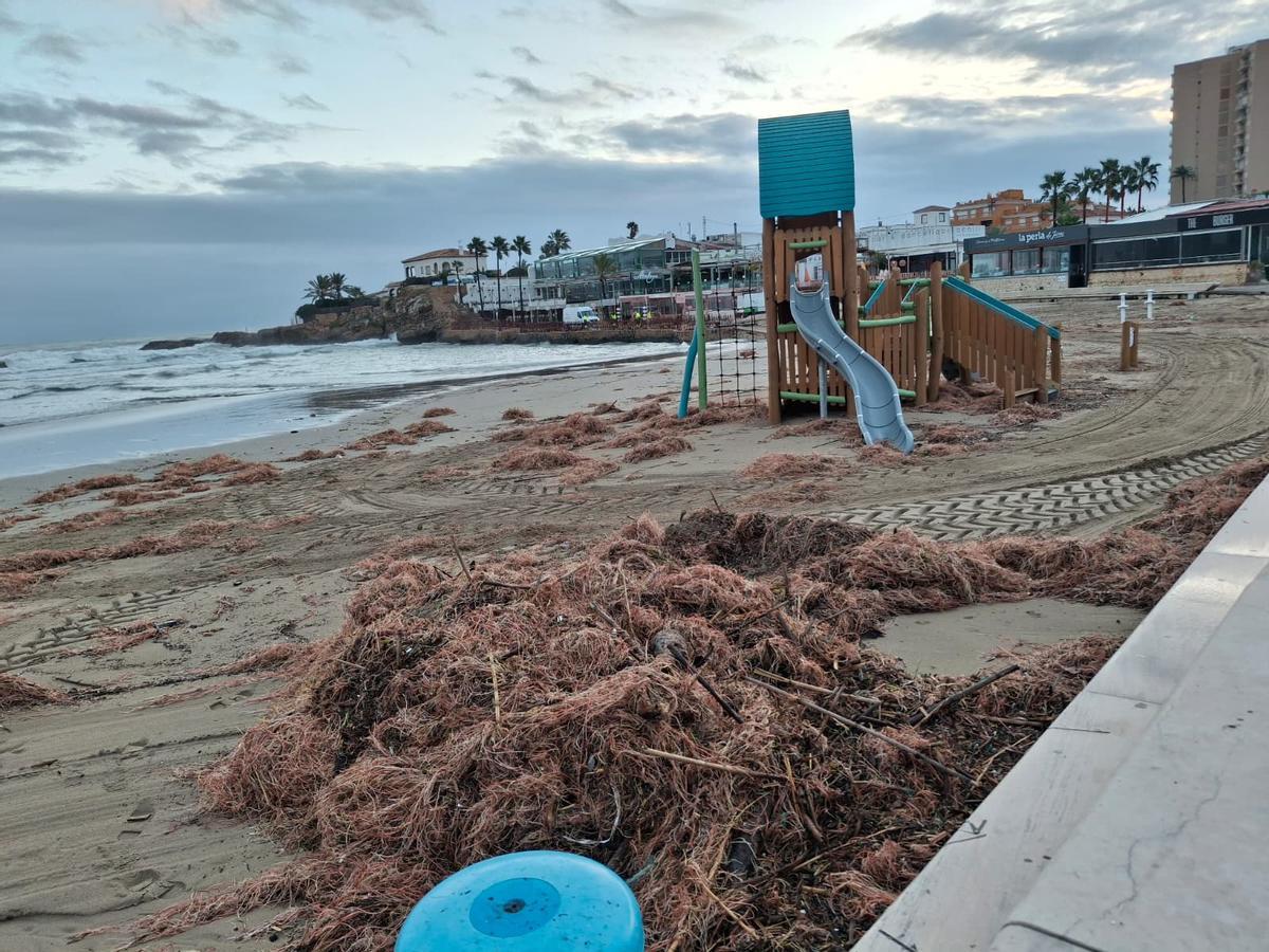 El estropicio del temporal Harry en las playas de Dénia y Xàbia (imágenes)