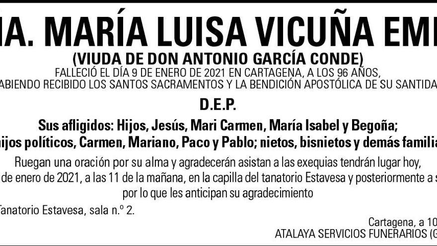 Dª María Luisa Vicuña Embeita