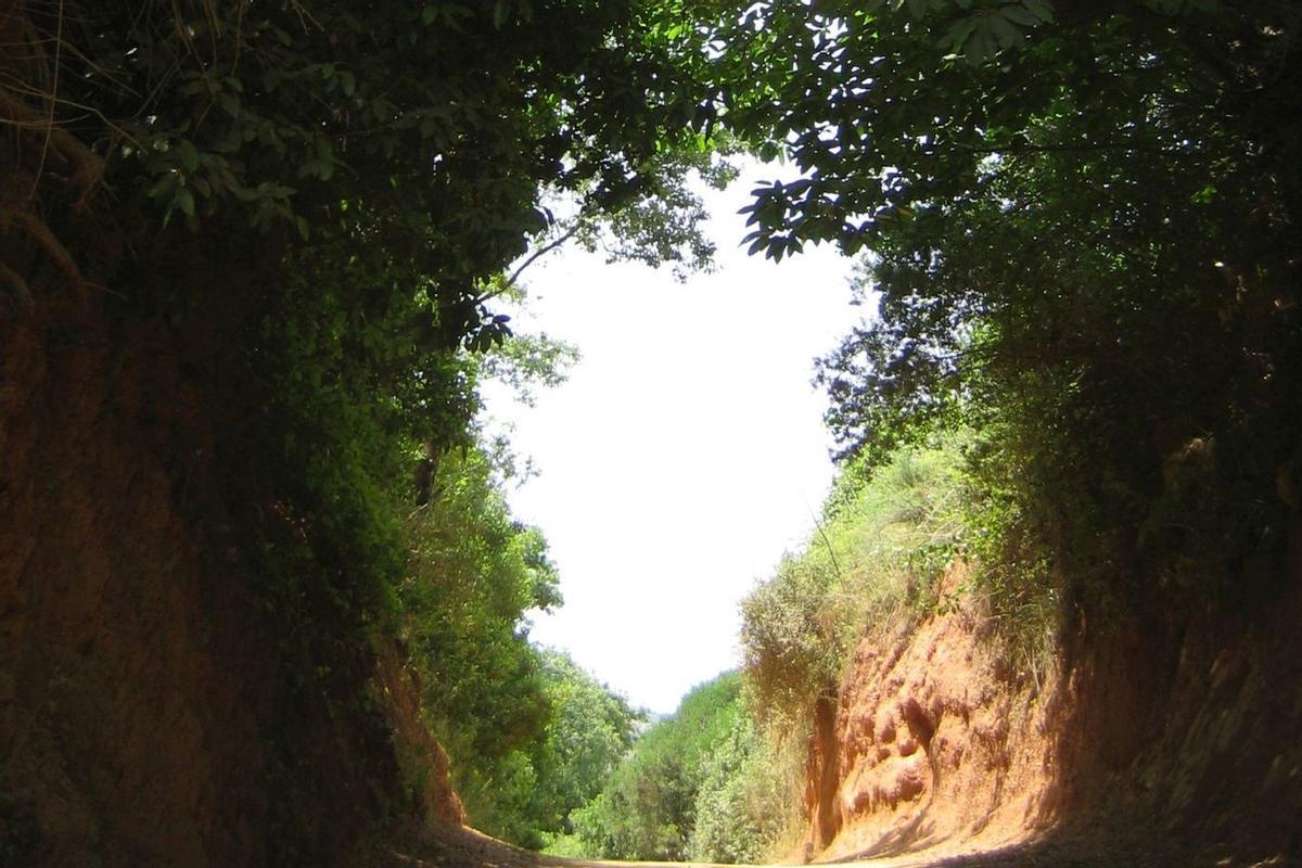 Ruta de los Castañares de Constatina, en Sevilla