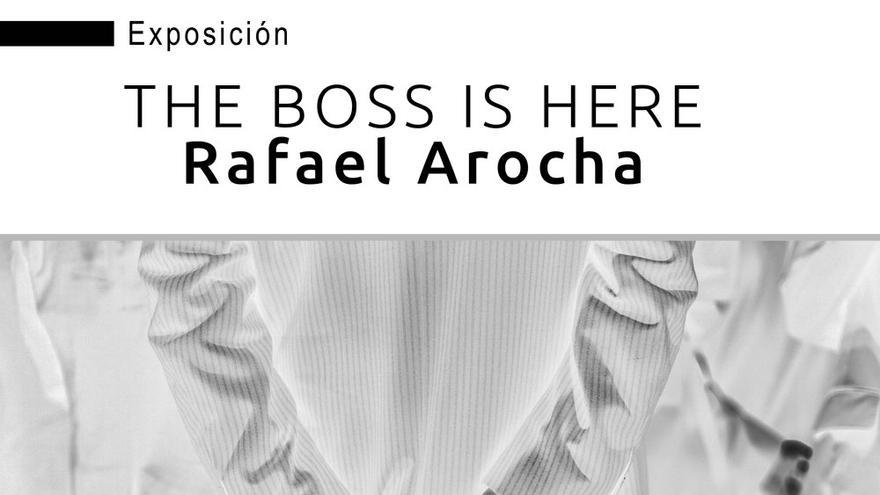 Exposición: The Boss is here. Rafael Arocha