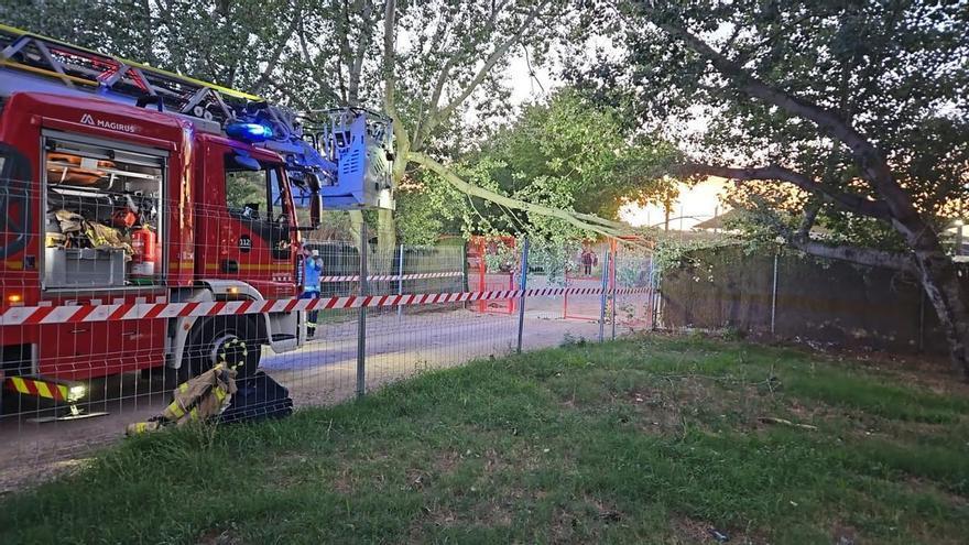 Els Bombers retiren una branca de grans dimensions que ha cedit a la zona del Congost de Manresa