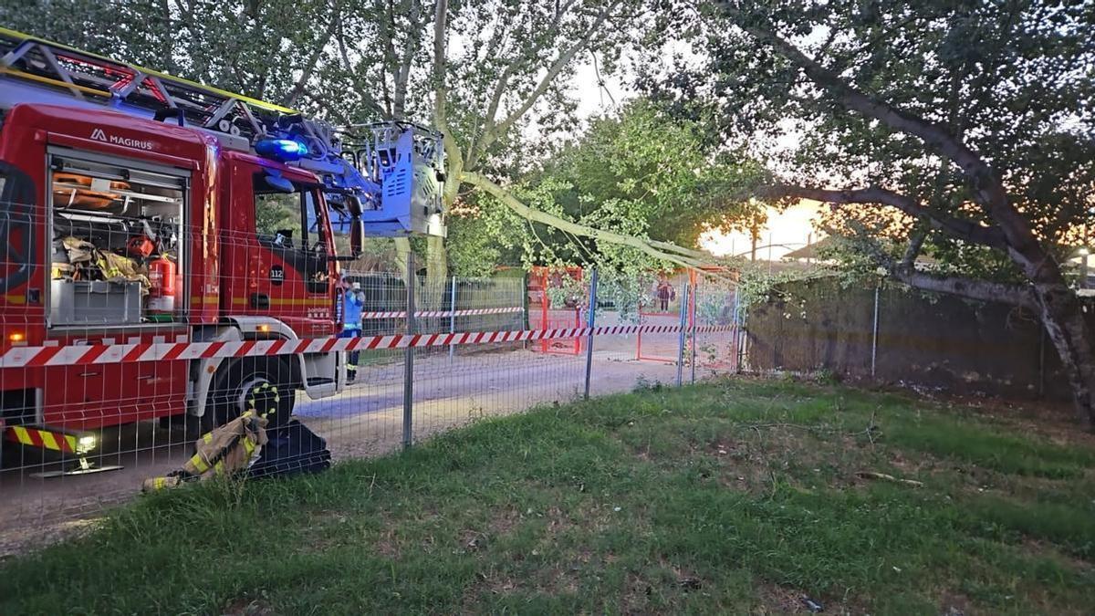 Els Bombers retirant una branca al Congost de Manresa