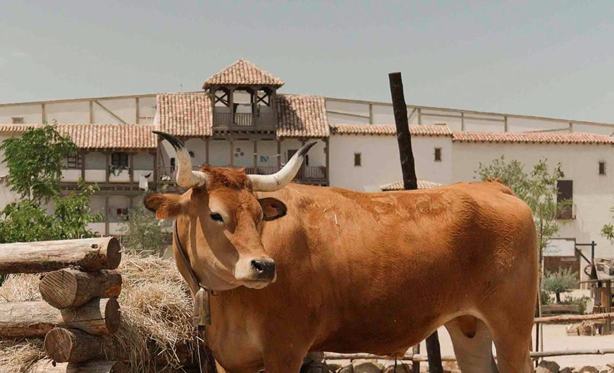 La compañia Puy Du Fou reconoce enterramientos irregulares en su parque