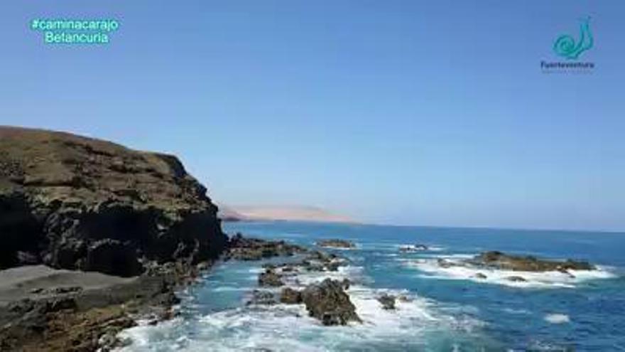 Fuerteventura, Reserva de la Biosfera