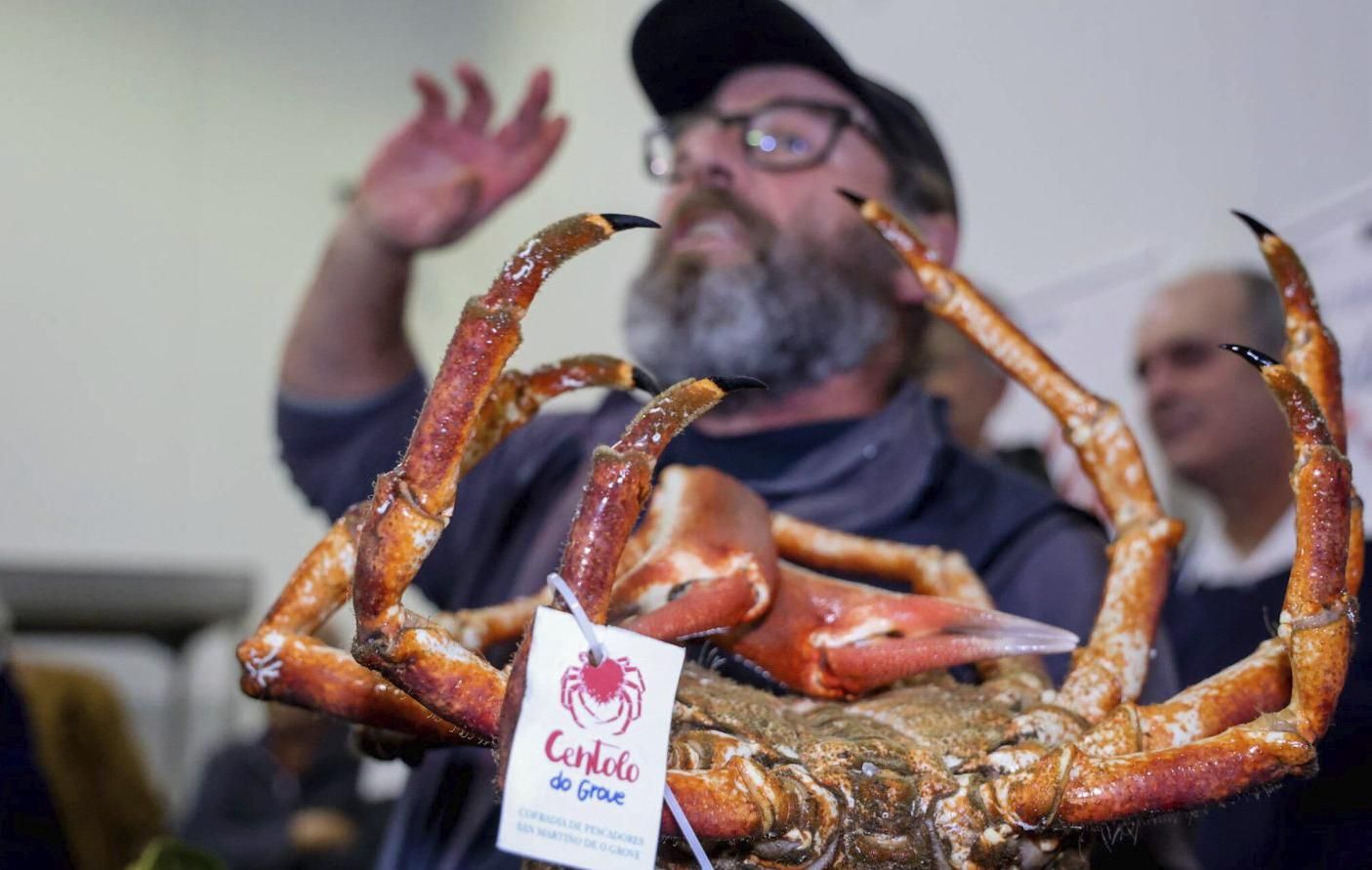 El centollo dispone de una marca propia de diferenciación y calidad en O Grove.