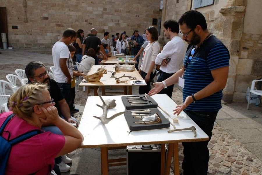 Talleres en el Museo de Zamora