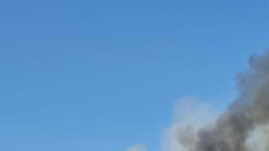 Fotos del incendio en la Devesa del Saler