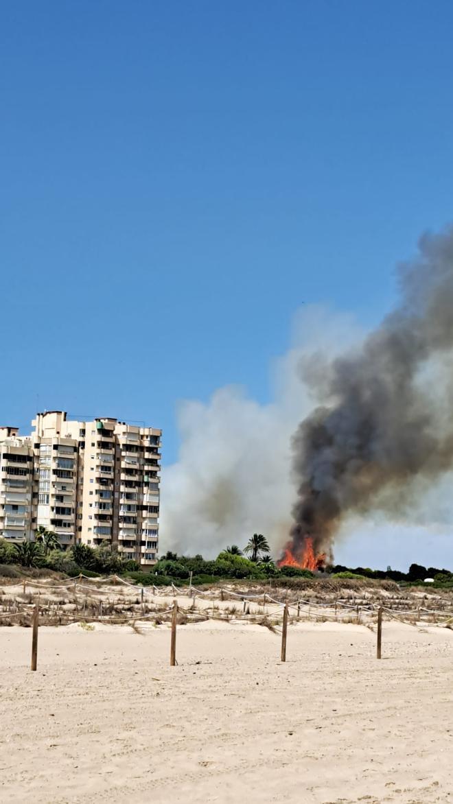 Fotos del incendio en la Devesa del Saler