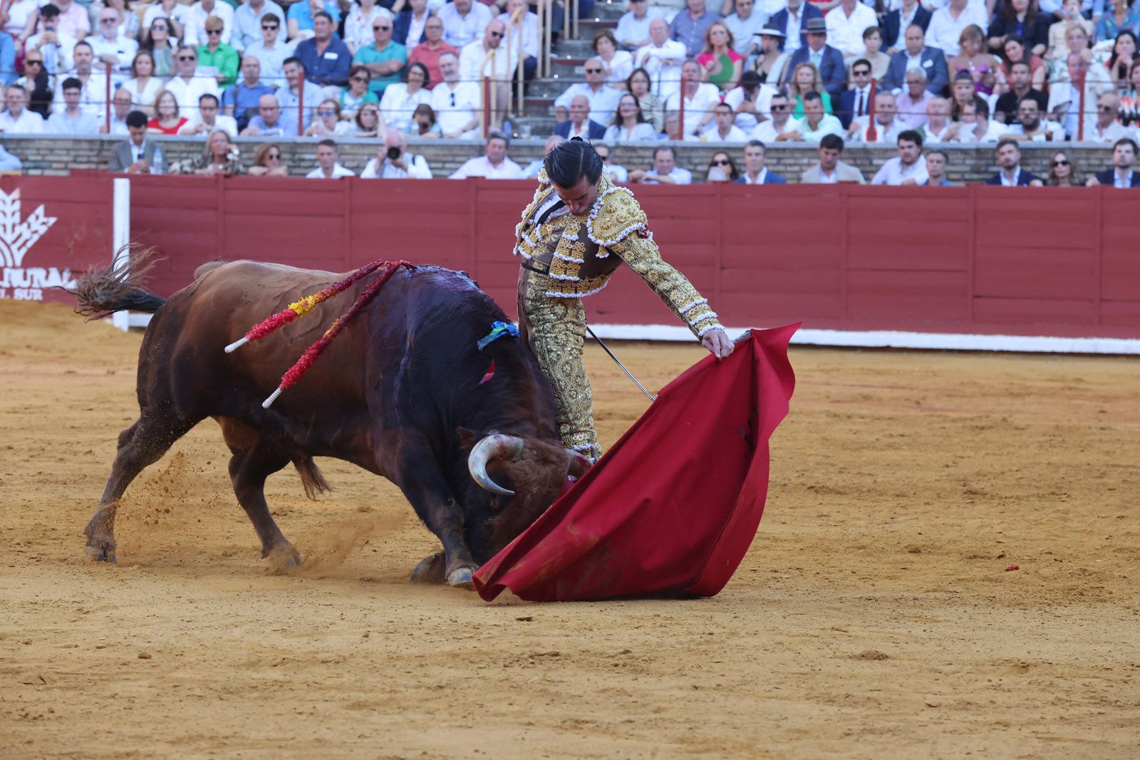 Román toma la alternativa y la puerta grande se abre para Roca Rey y Ortega