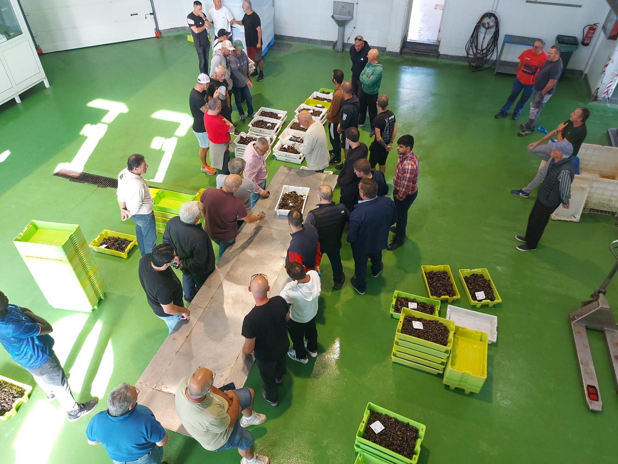 En imágenes: La primera subasta de percebe de la temporada en la rula de Puerto de Vega